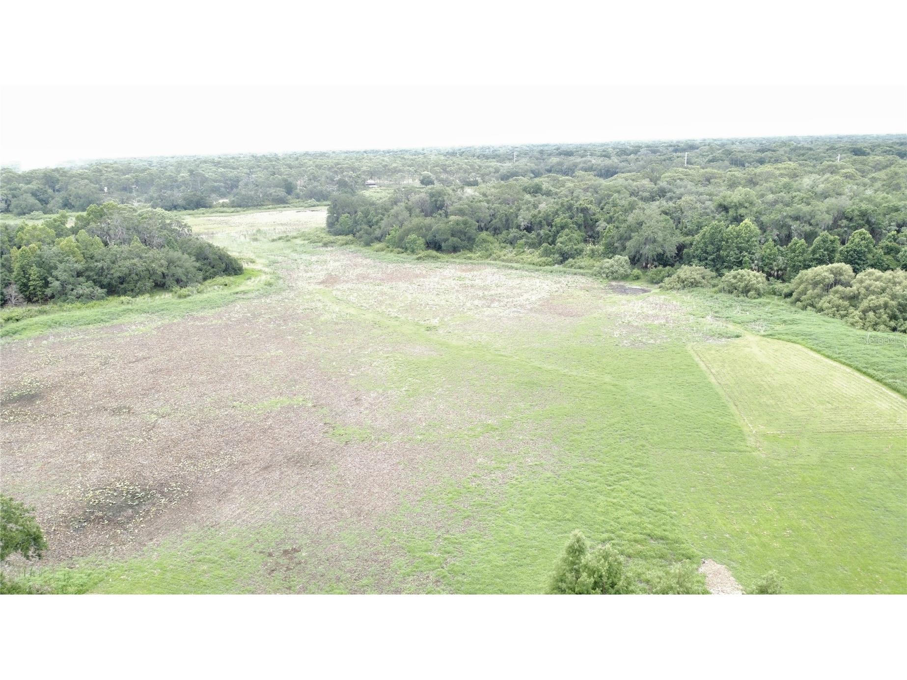 1016 Lakeside Dr. Drive Apopka FL 32712 - LAKE PREVATT O6418091 image5