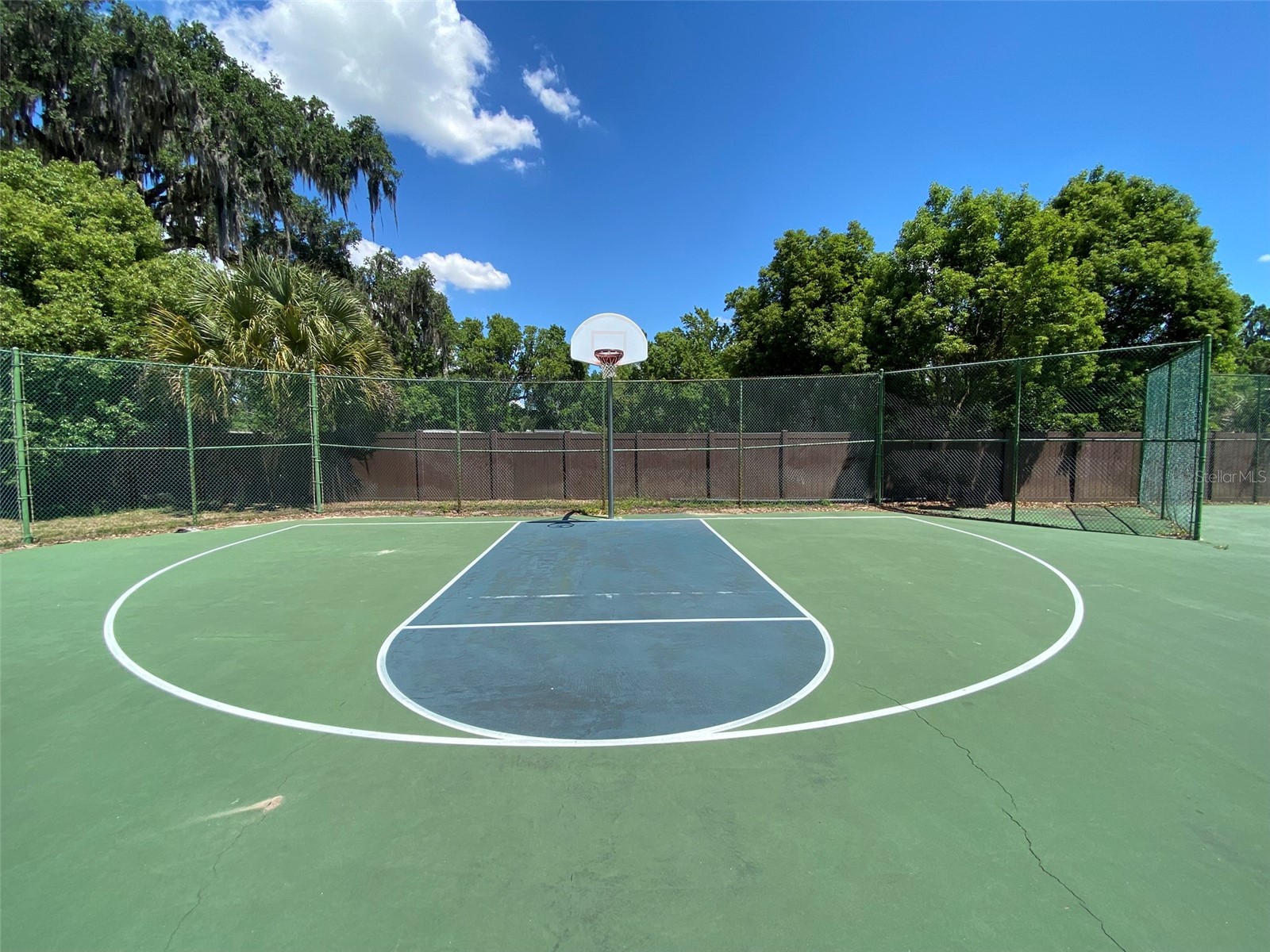 1016 Lakeside Dr. Drive Apopka FL 32712 - LAKE PREVATT O6418091 image63