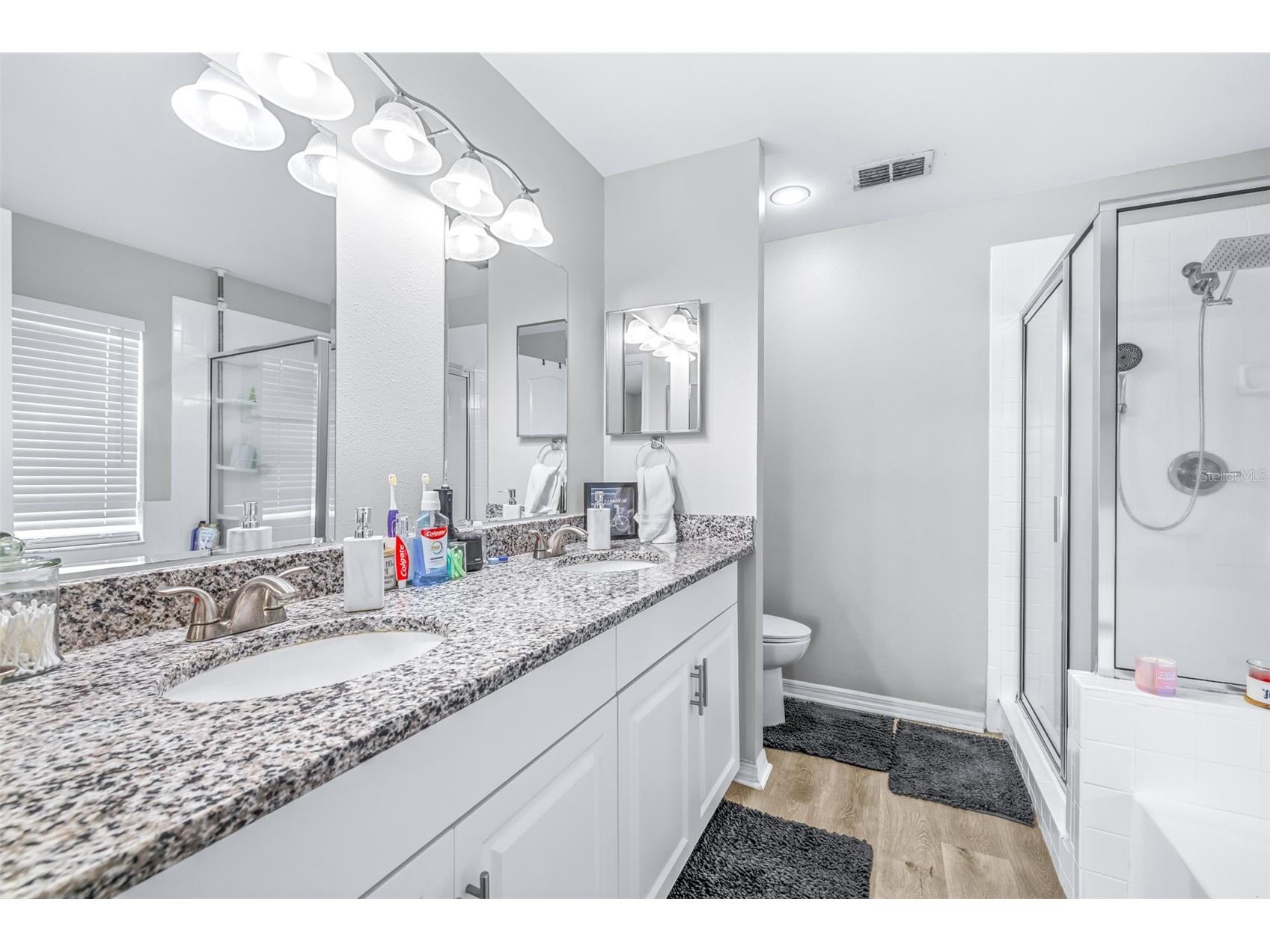 1016 Malletwood Drive Brandon FL 33510 TB8506387 image27