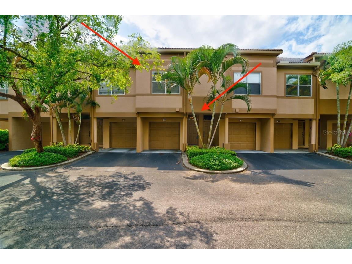 1016 Normandy Trace Road #1016 Tampa FL 33602 T3364254 image1