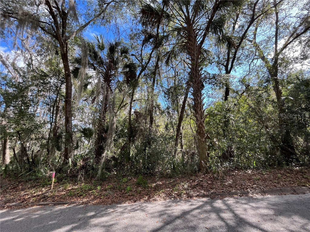 1016 S 12th Street Palatka FL 32177 OK222476 image1