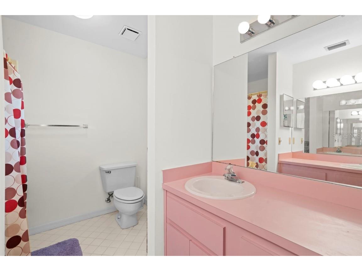 1016 Teal Pointe Tarpon Springs FL 34689 - LAKE AVOCA TB8346038 image21