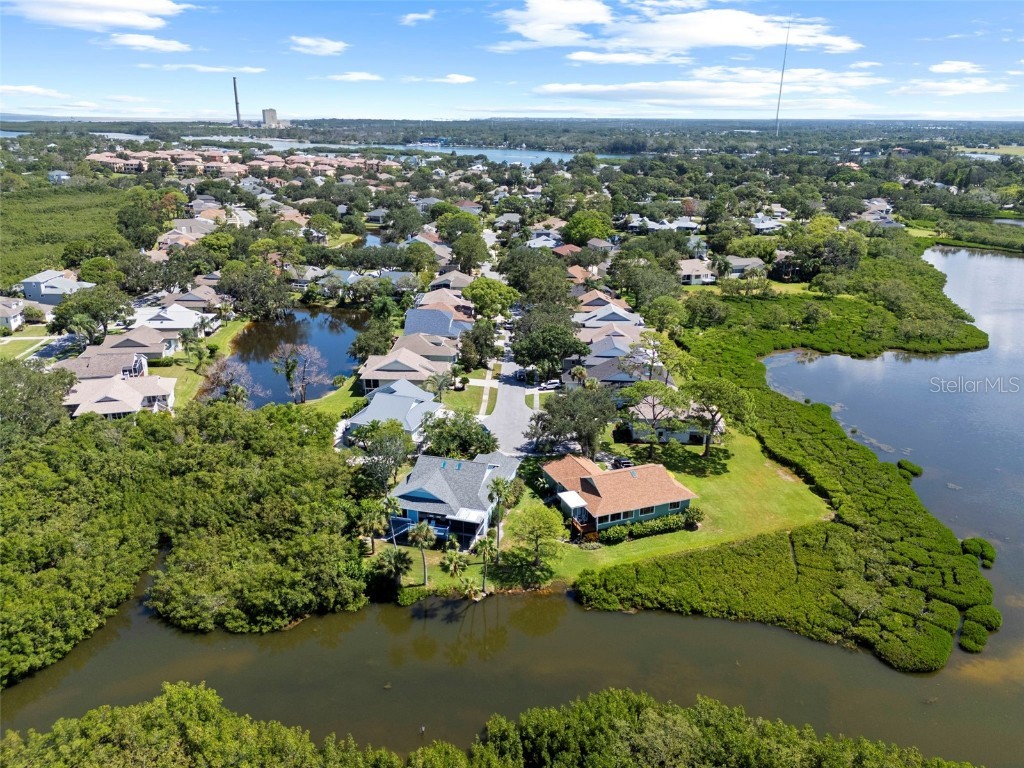 1016 Teal Pointe Tarpon Springs FL 34689 - LAKE AVOCA TB8346038 image45