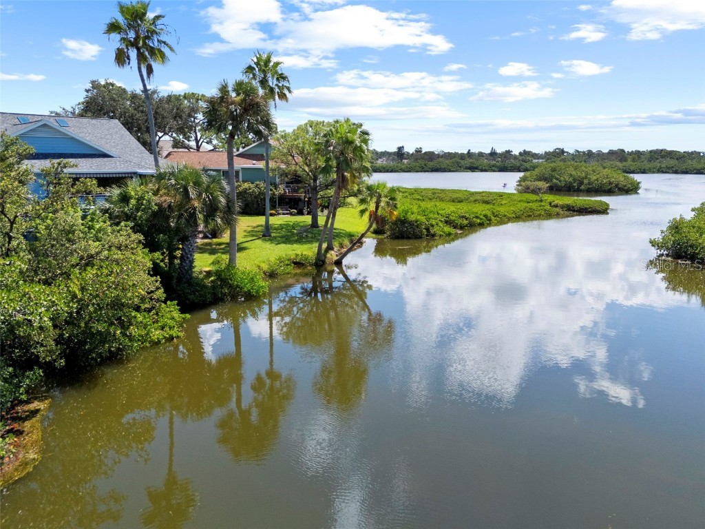 1016 Teal Pointe Tarpon Springs FL 34689 - LAKE AVOCA TB8346038 image48