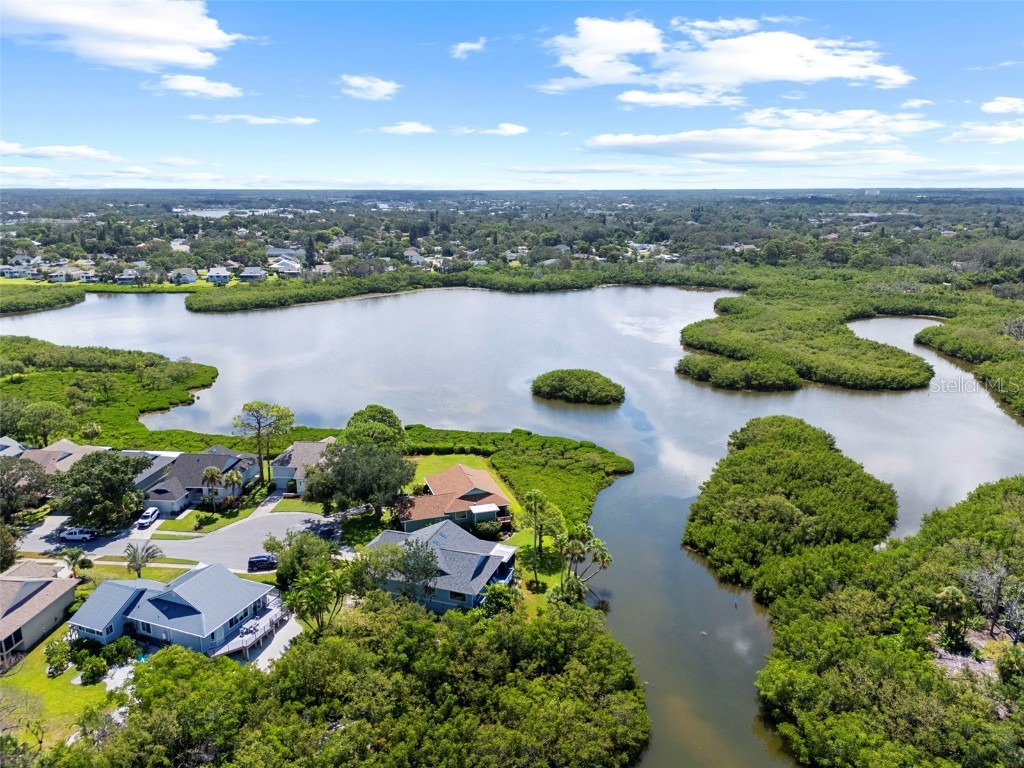 1016 Teal Pointe Tarpon Springs FL 34689 - LAKE AVOCA TB8346038 image50