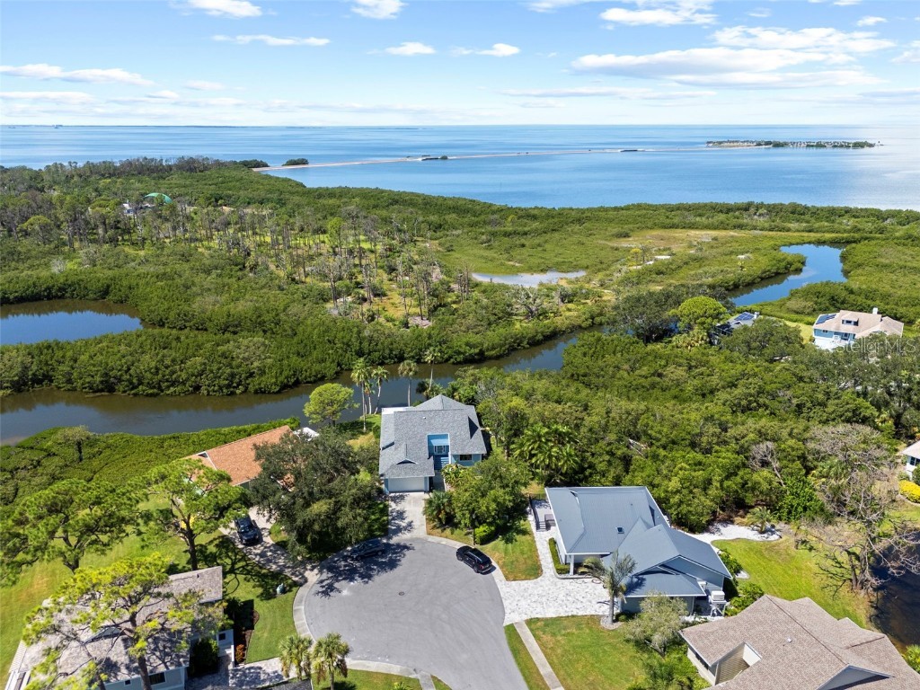 1016 Teal Pointe Tarpon Springs FL 34689 - LAKE AVOCA TB8346038 image51