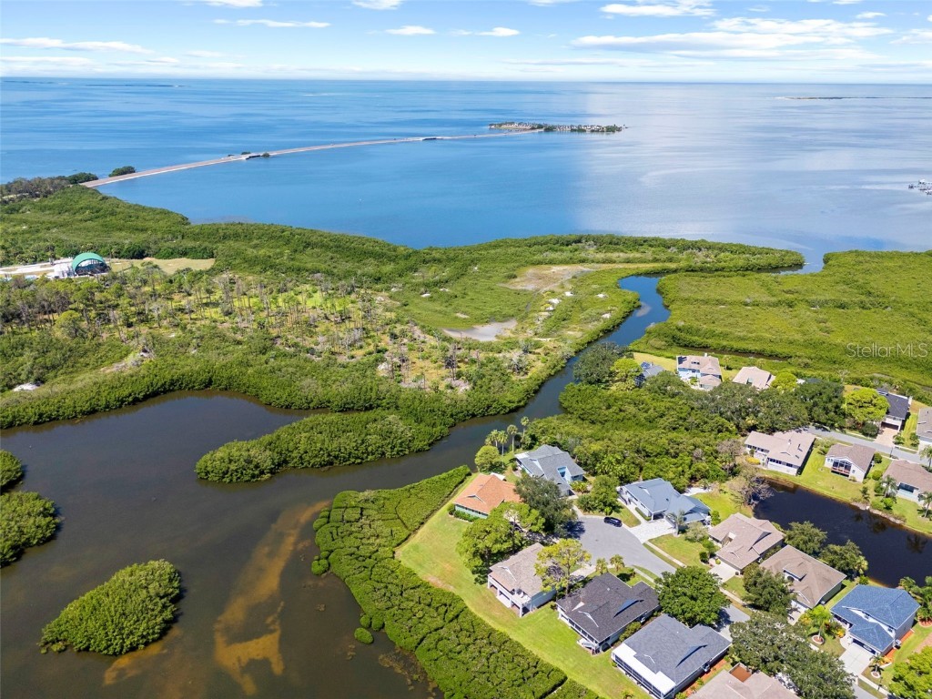 1016 Teal Pointe Tarpon Springs FL 34689 - LAKE AVOCA TB8346038 image52