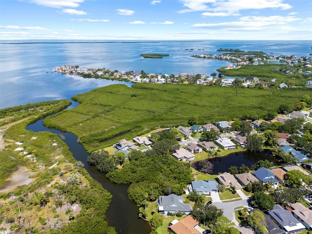 1016 Teal Pointe Tarpon Springs FL 34689 - LAKE AVOCA TB8346038 image53