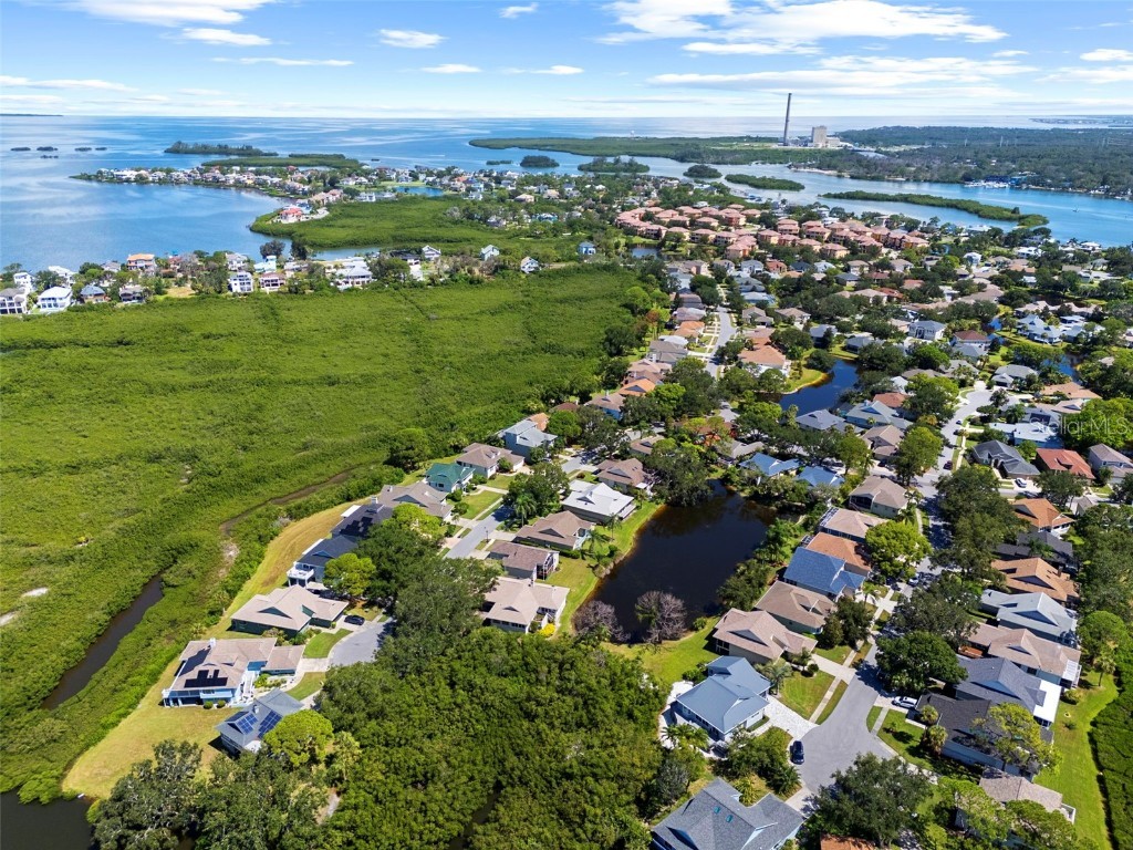 1016 Teal Pointe Tarpon Springs FL 34689 - LAKE AVOCA TB8346038 image54