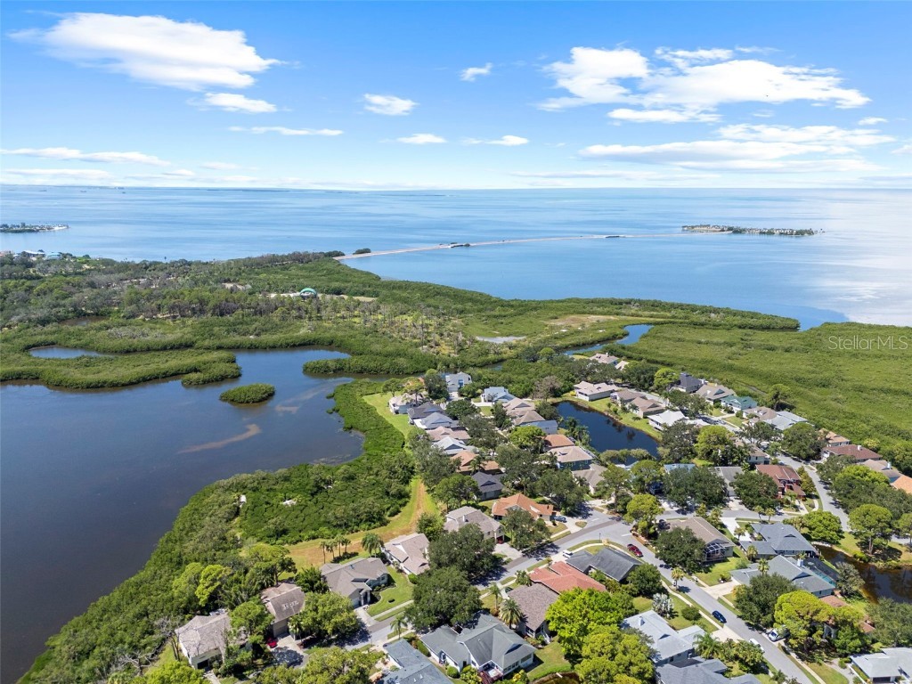 1016 Teal Pointe Tarpon Springs FL 34689 - LAKE AVOCA TB8346038 image55