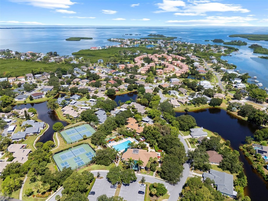 1016 Teal Pointe Tarpon Springs FL 34689 - LAKE AVOCA TB8346038 image56