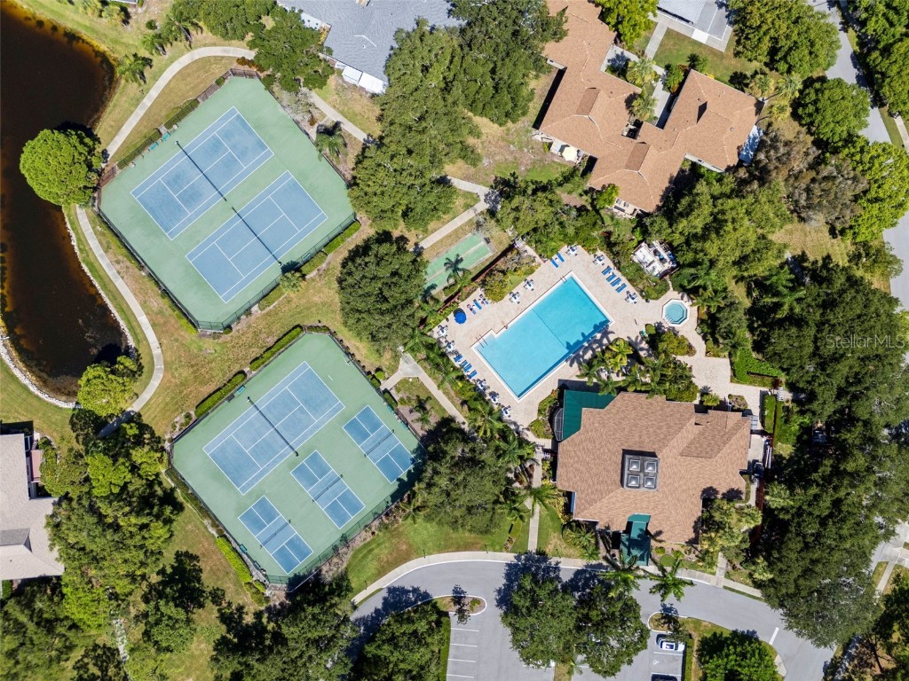 1016 Teal Pointe Tarpon Springs FL 34689 - LAKE AVOCA TB8346038 image57