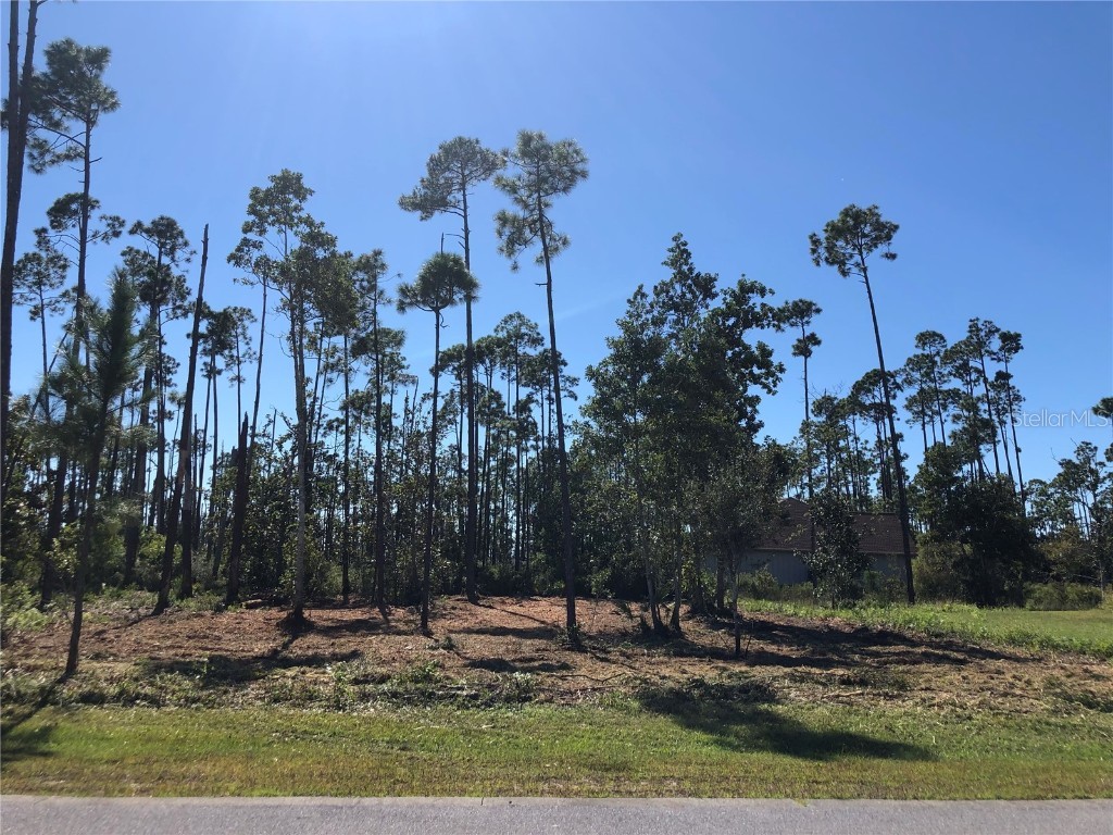 1016 Tidewater Lane Panama City FL 32404 V4938913 image3