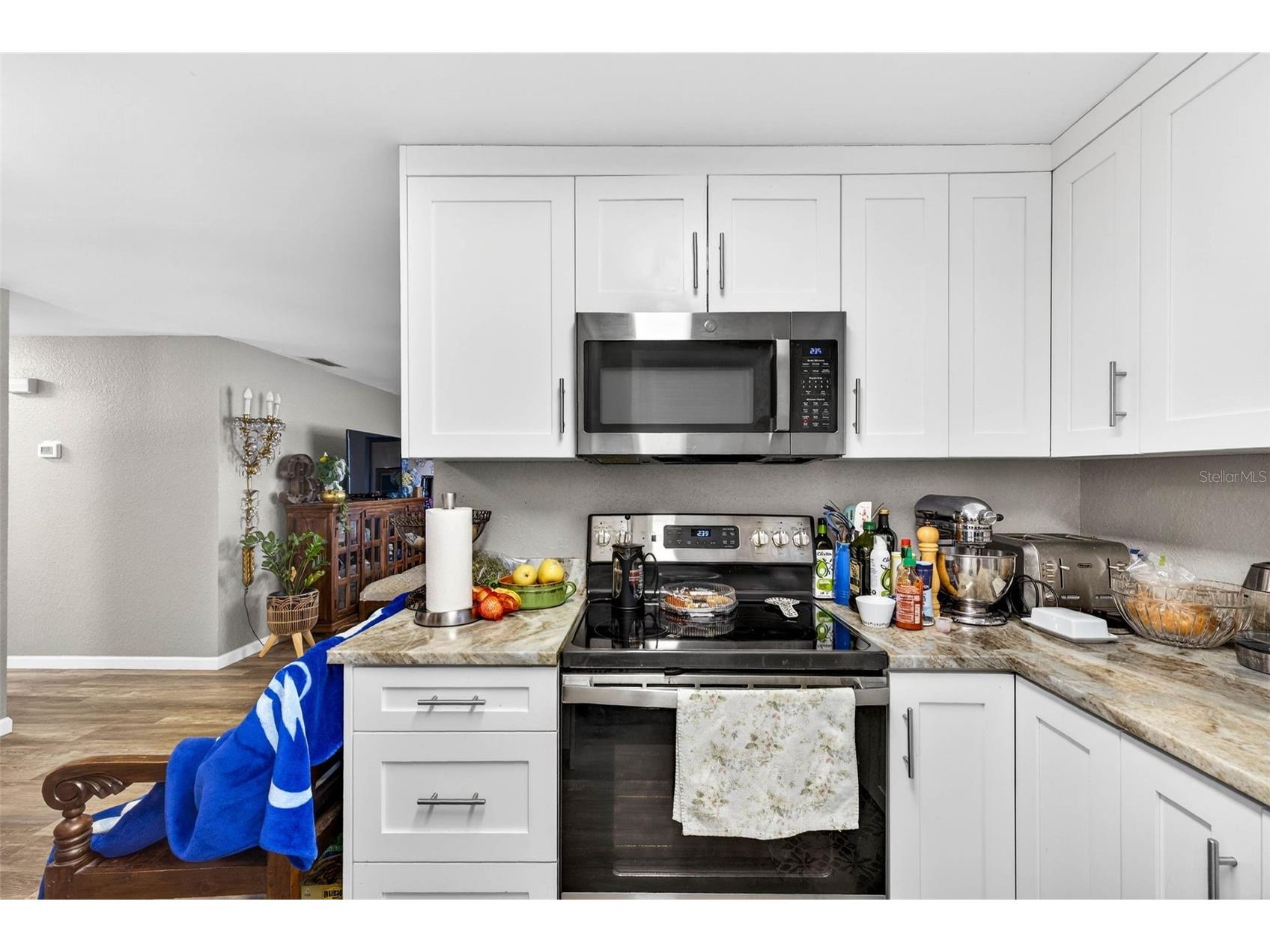 1016 Windsor Hill Way Tarpon Springs FL 34689 W7884504 image7