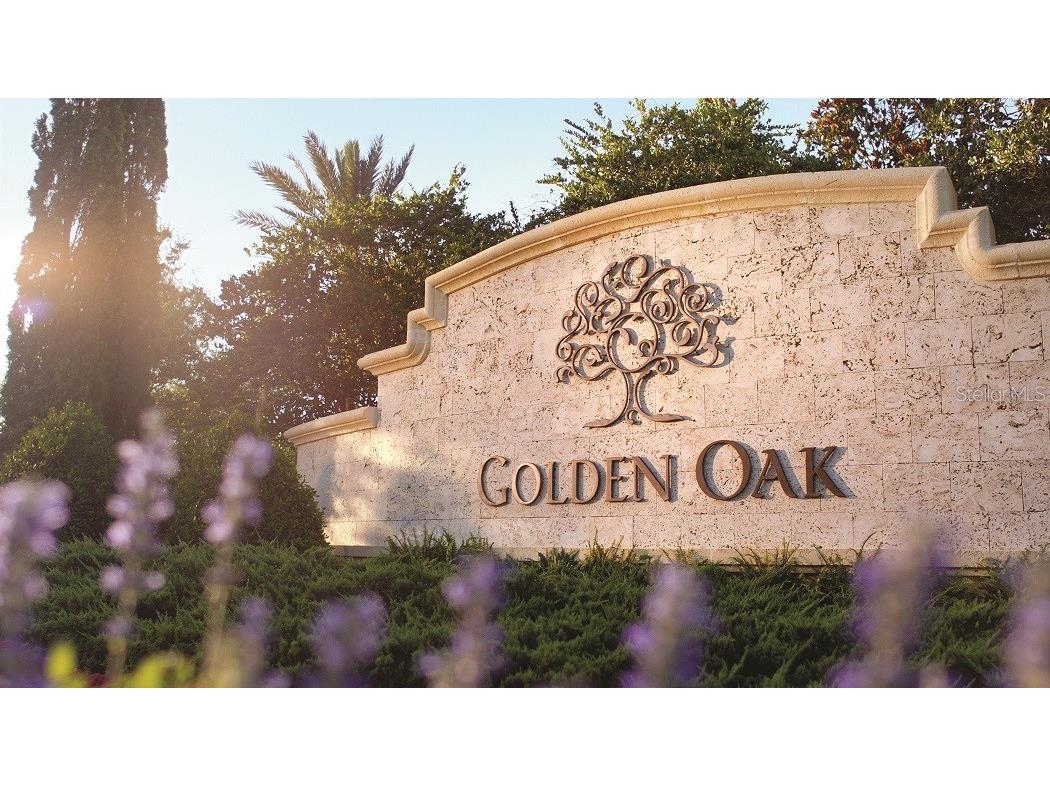 10160 Autumn Mist Lane #601 Golden Oak FL 32836 O6299022 image34