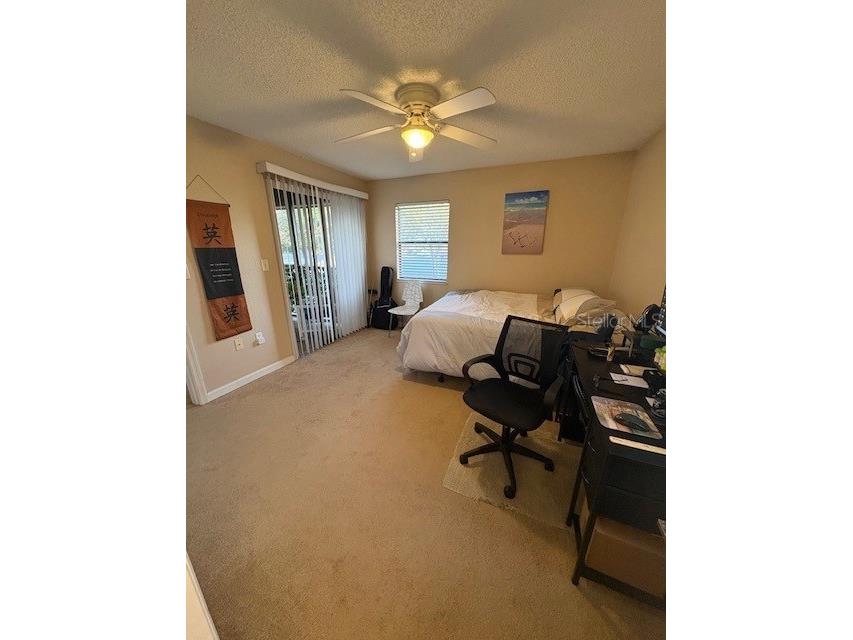 10160 Sailwinds Boulevard S #206 Largo FL 33773 TB8477823 image10