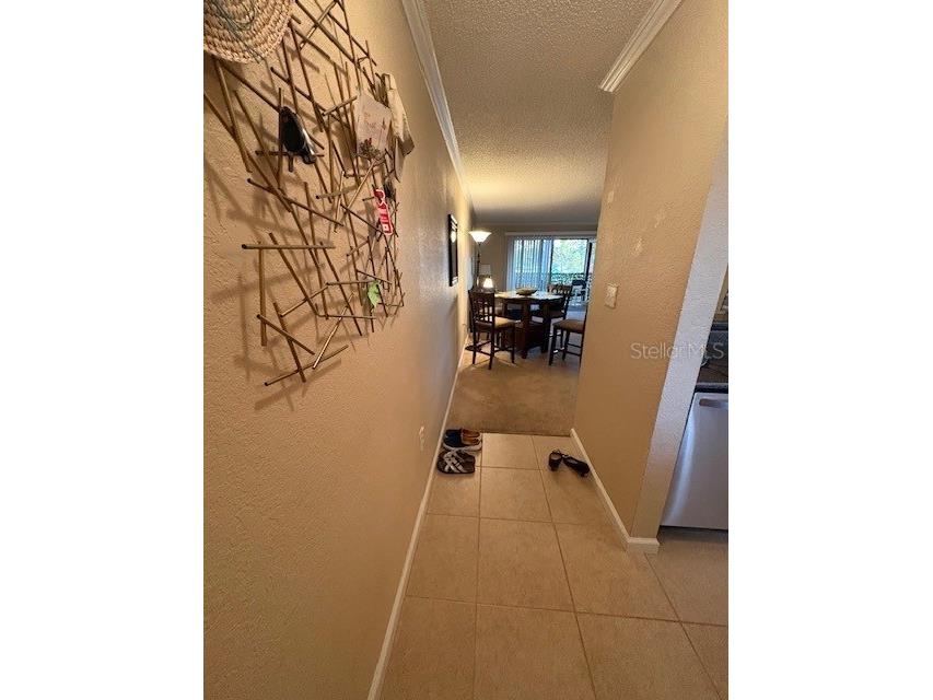 10160 Sailwinds Boulevard S #206 Largo FL 33773 TB8477823 image4