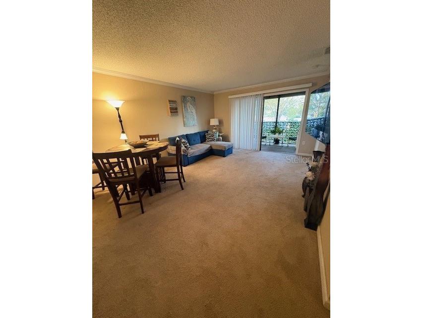 10160 Sailwinds Boulevard S #206 Largo FL 33773 TB8477823 image7