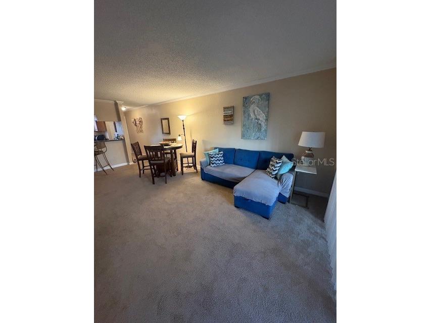 10160 Sailwinds Boulevard S #206 Largo FL 33773 TB8477823 image9