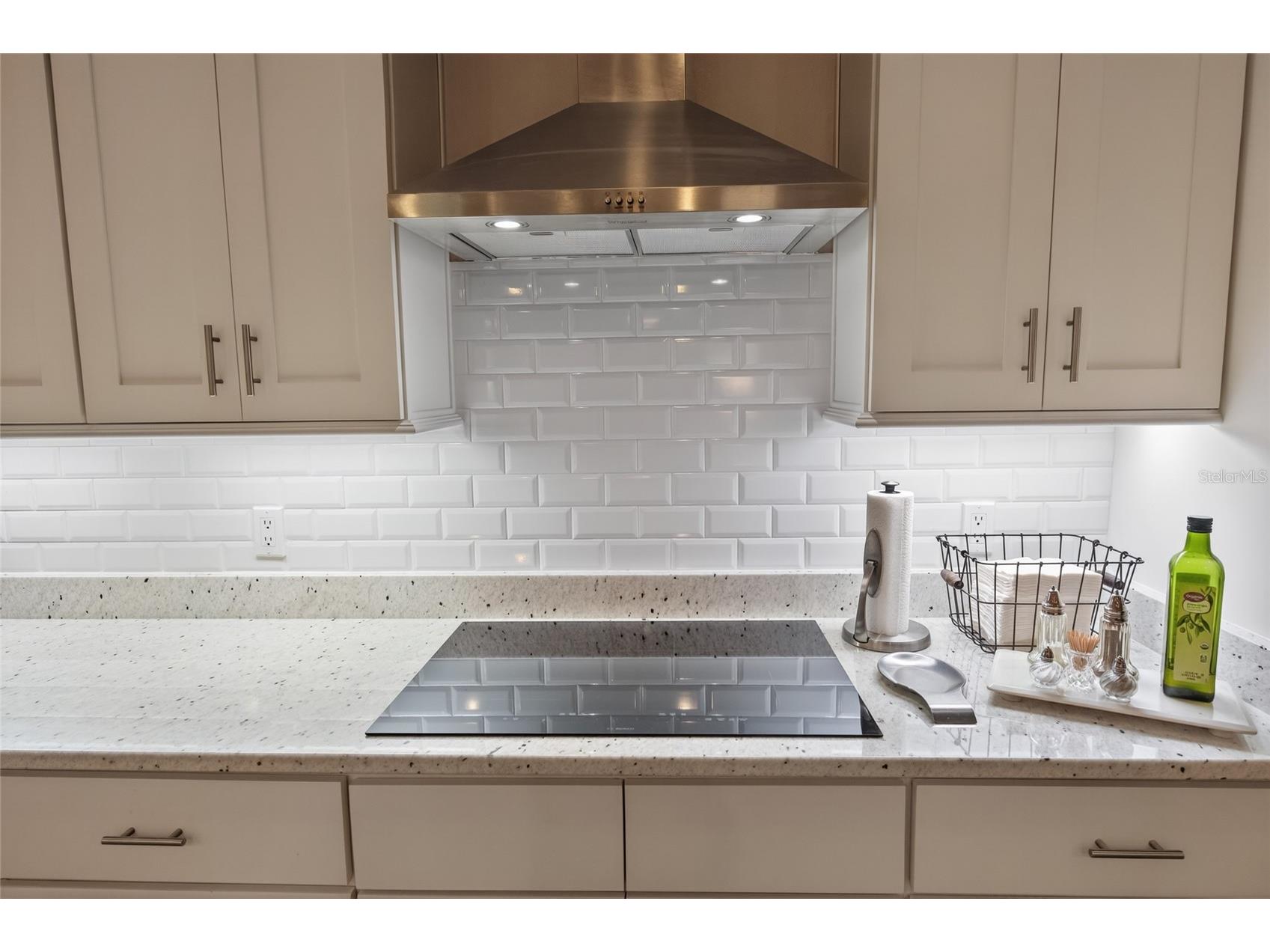 10160 SE 41st Avenue Belleview FL 34420 OM716958 image16