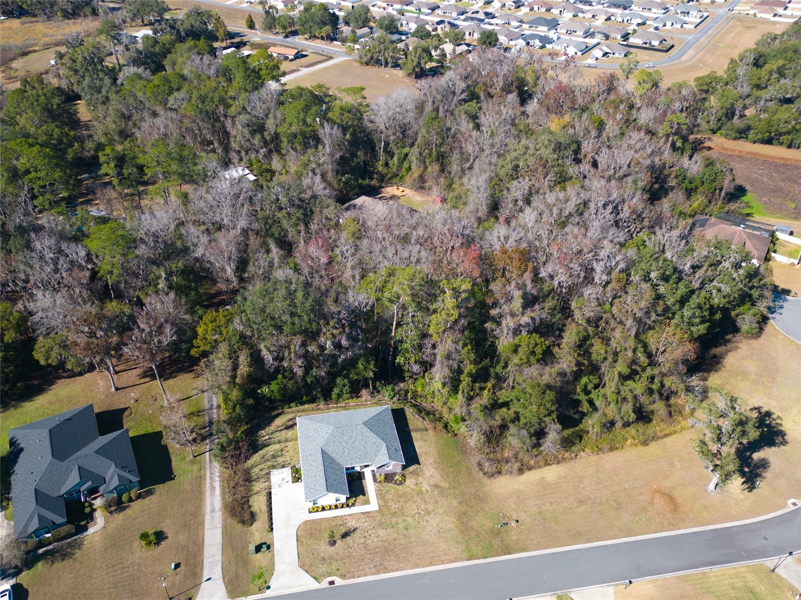 10160 SE 41st Avenue Belleview FL 34420 OM716958 image8