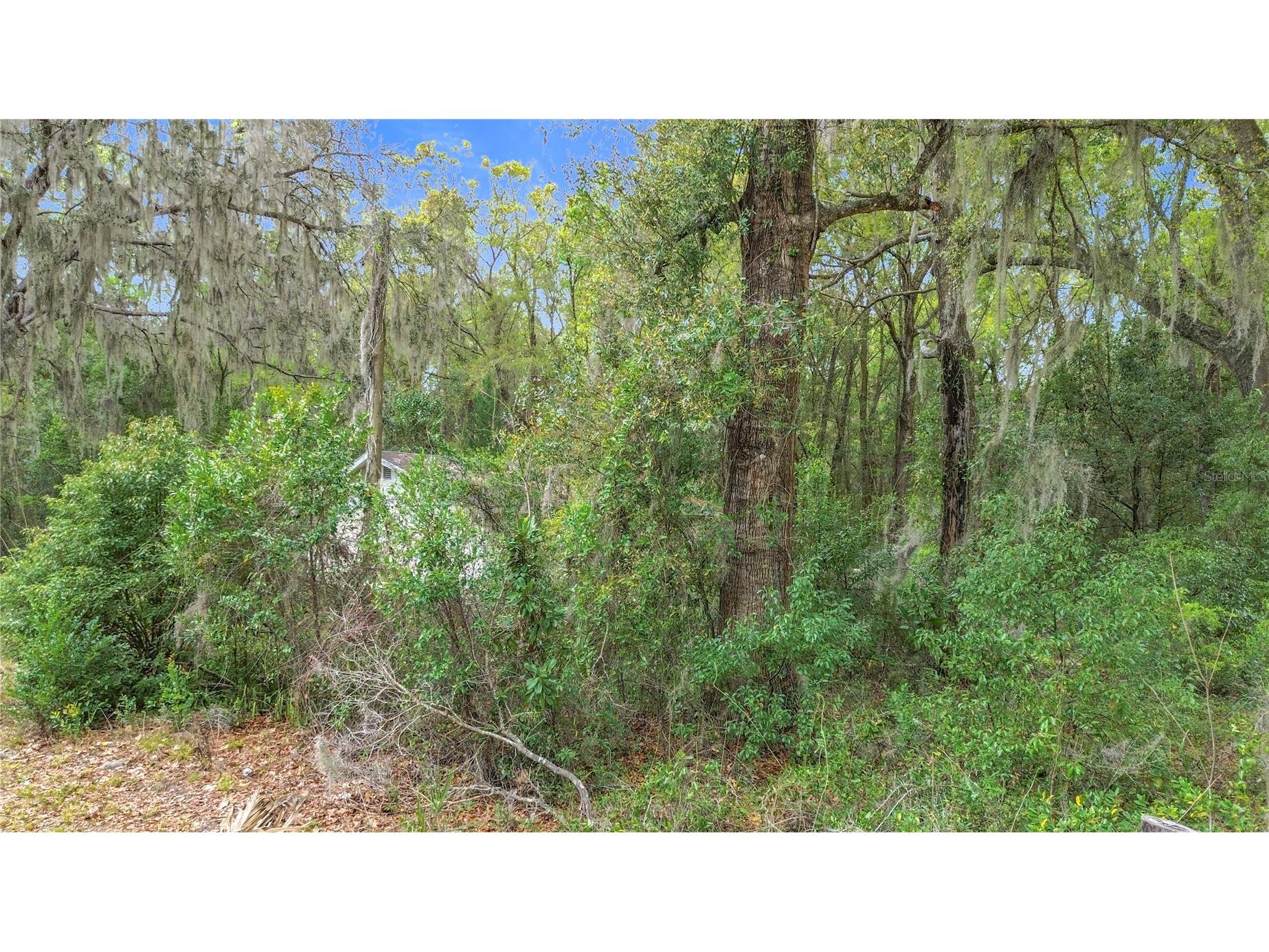 10160 SE 49th Court Belleview FL 34420 O6389770 image8