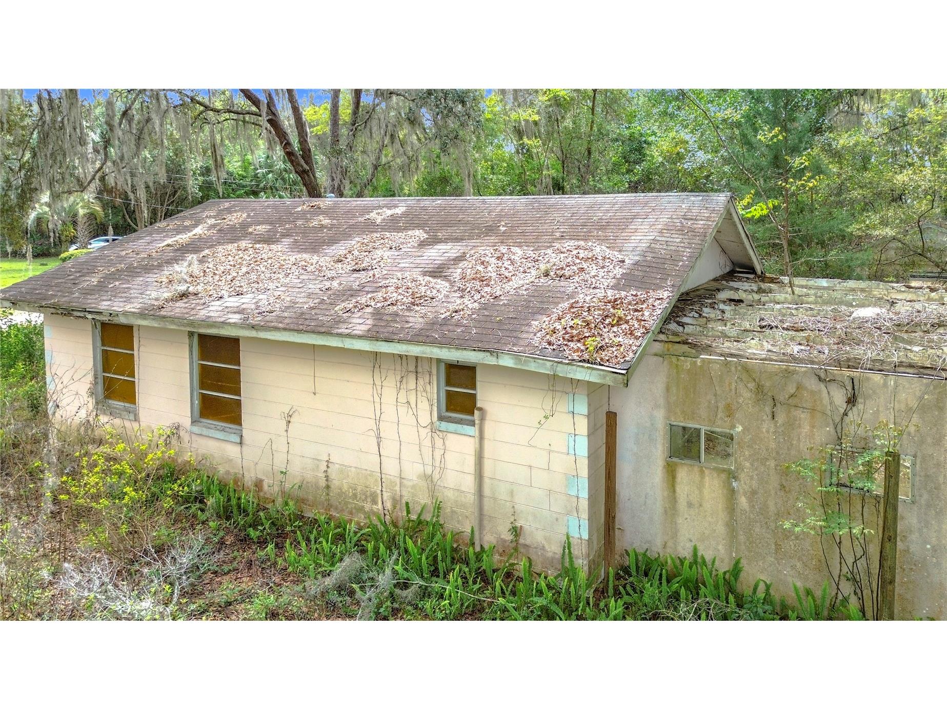 10160 SE 49th Court Belleview FL 34420 O6390223 image1