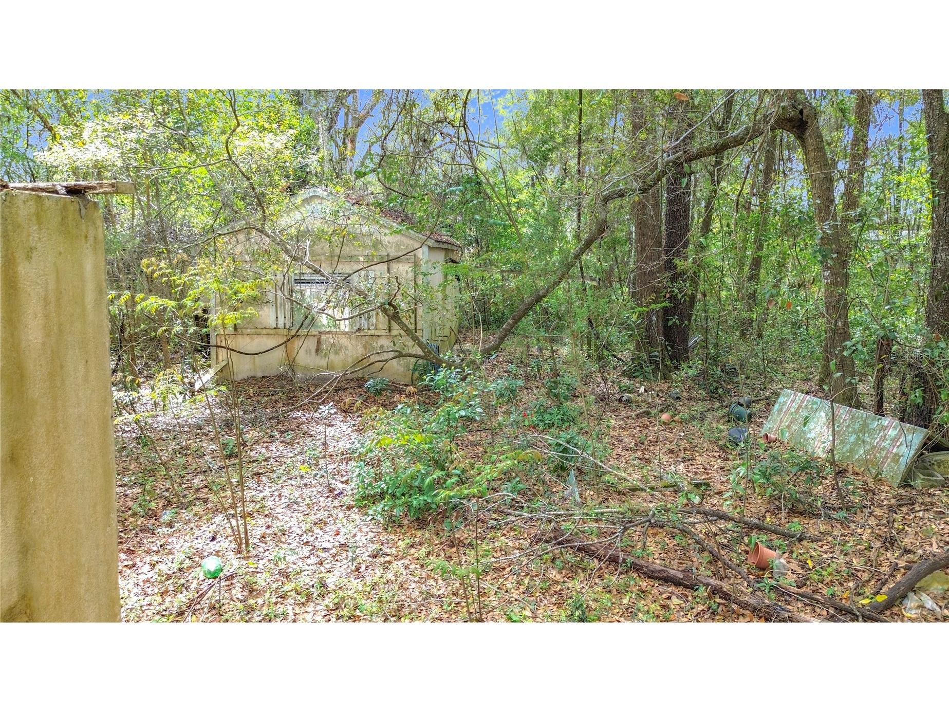 10160 SE 49th Court Belleview FL 34420 O6390223 image10