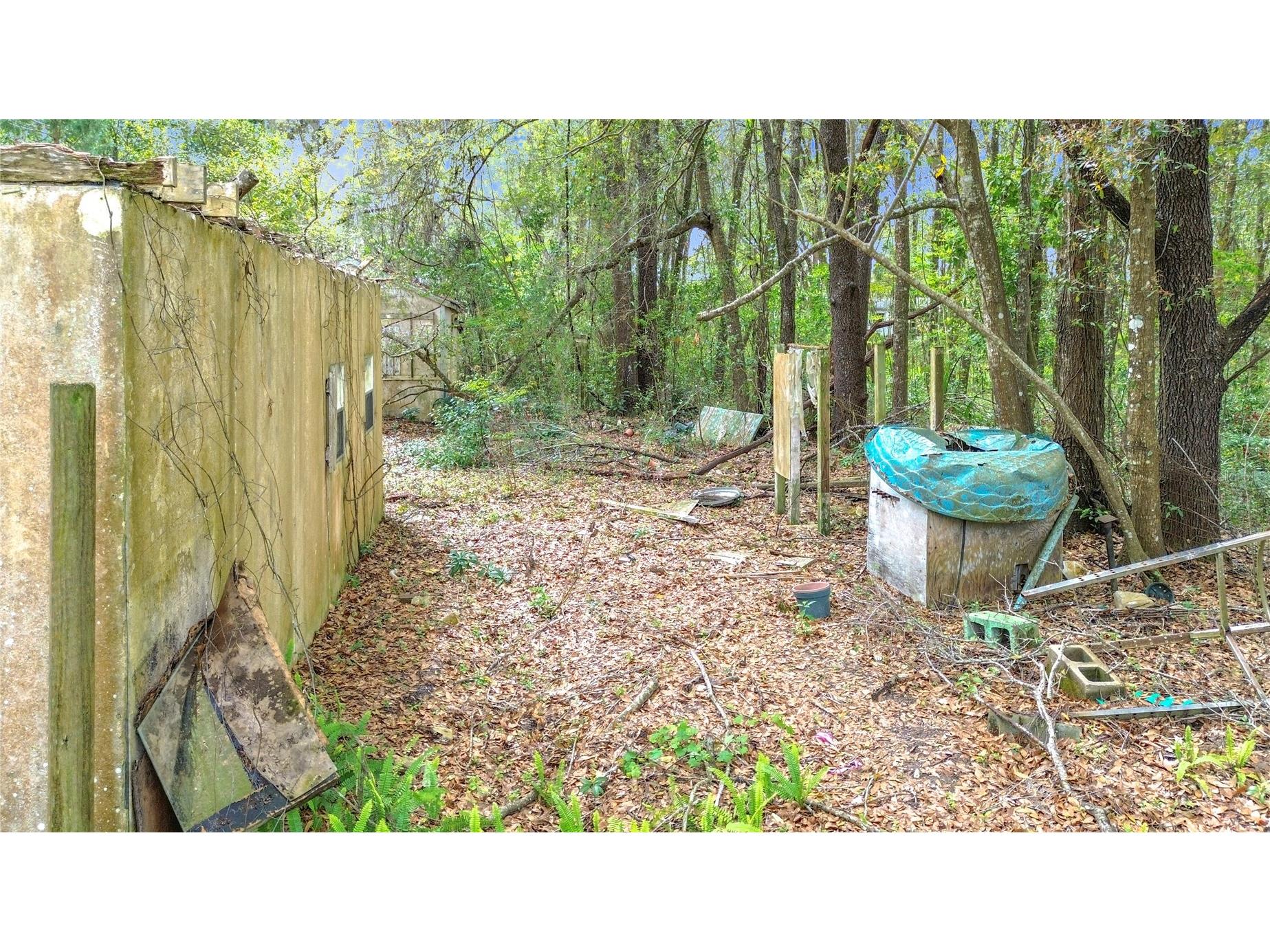 10160 SE 49th Court Belleview FL 34420 O6390223 image5