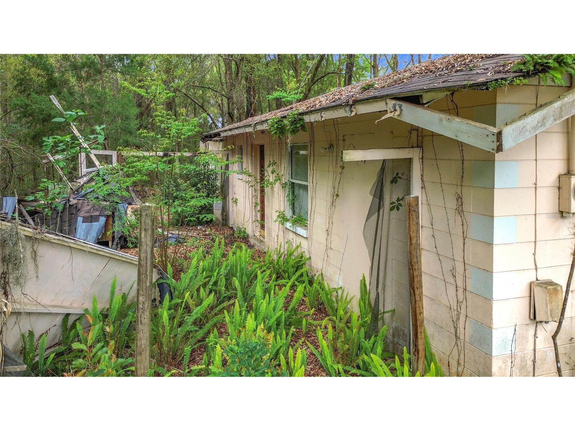 10160 SE 49th Court Belleview FL 34420 O6390223 image6