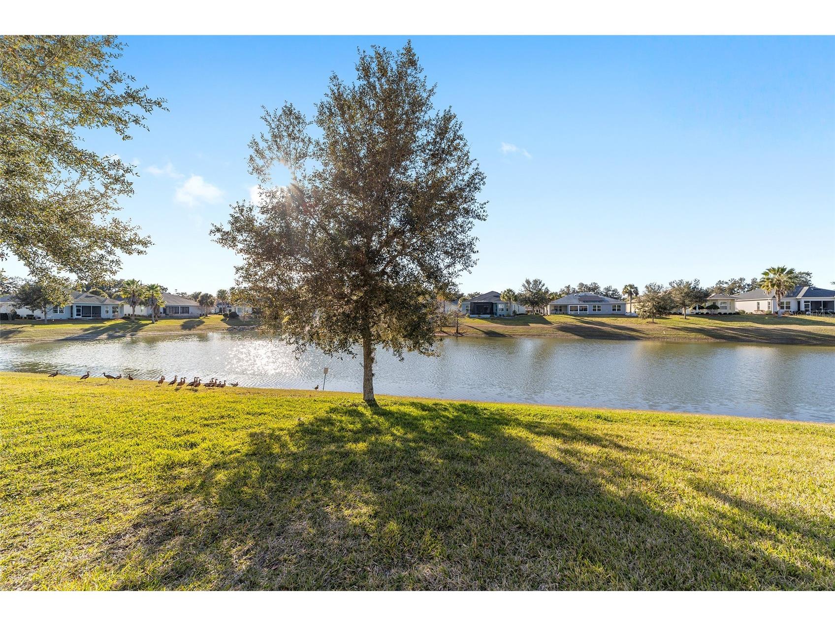 10161 Julia Isles Avenue Oxford FL 34484 G5107431 image42
