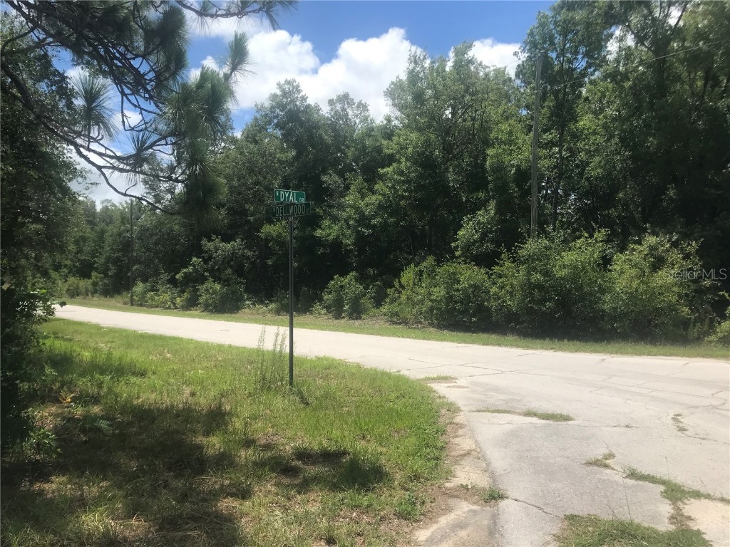 10161 N Dyal Drive Citrus Springs FL 34434 S5124111 image2