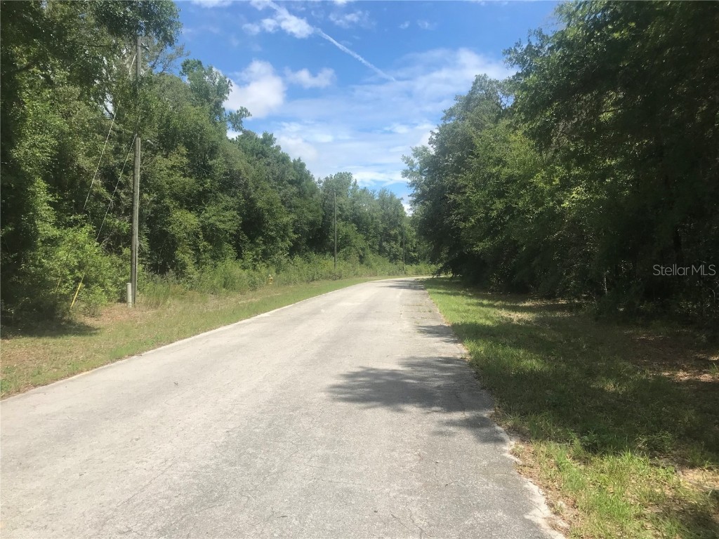 10161 N Dyal Drive Citrus Springs FL 34434 S5124111 image3