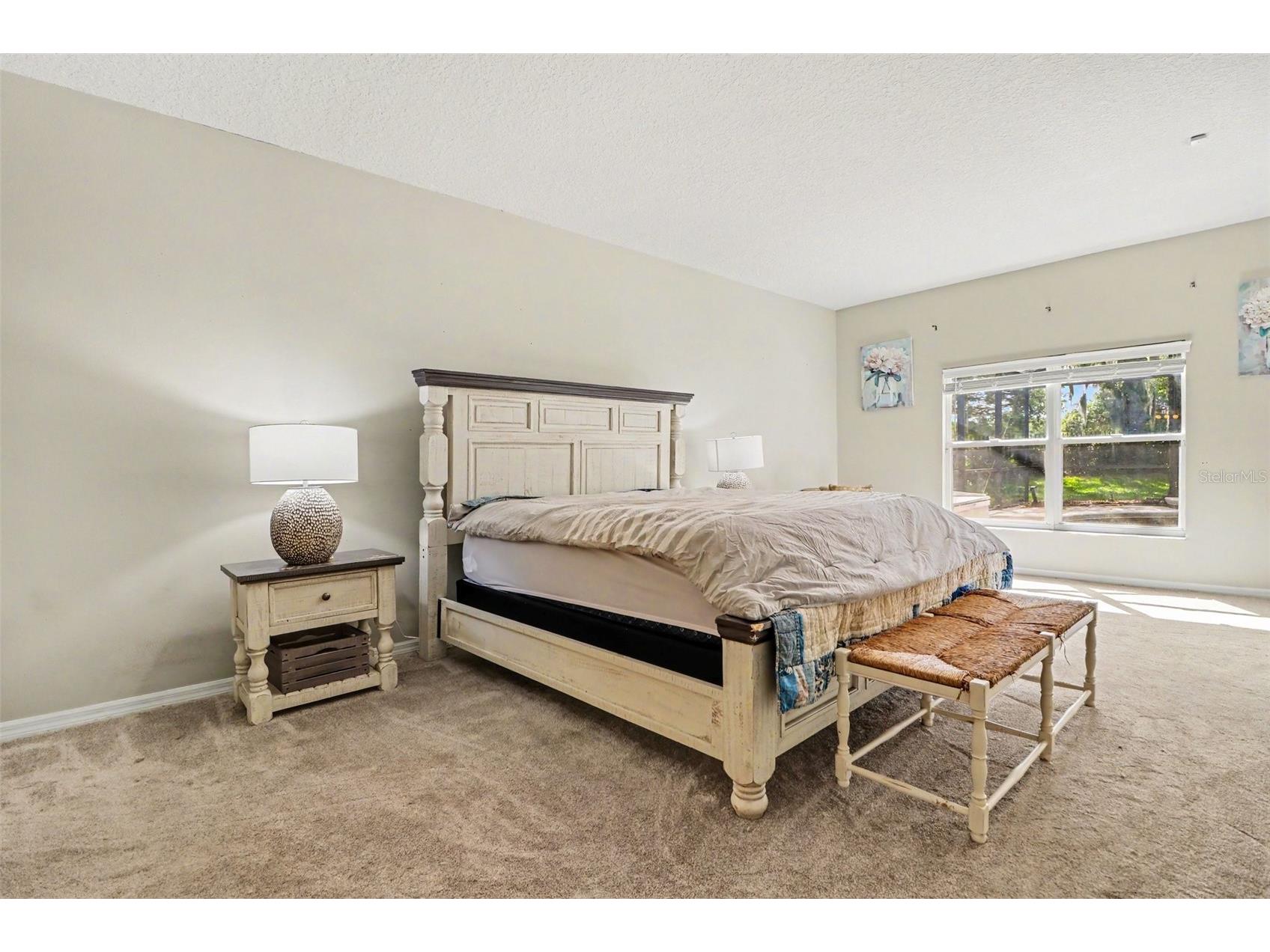 10161 Sandy Marsh Lane Orlando FL 32832 O6409595 image17