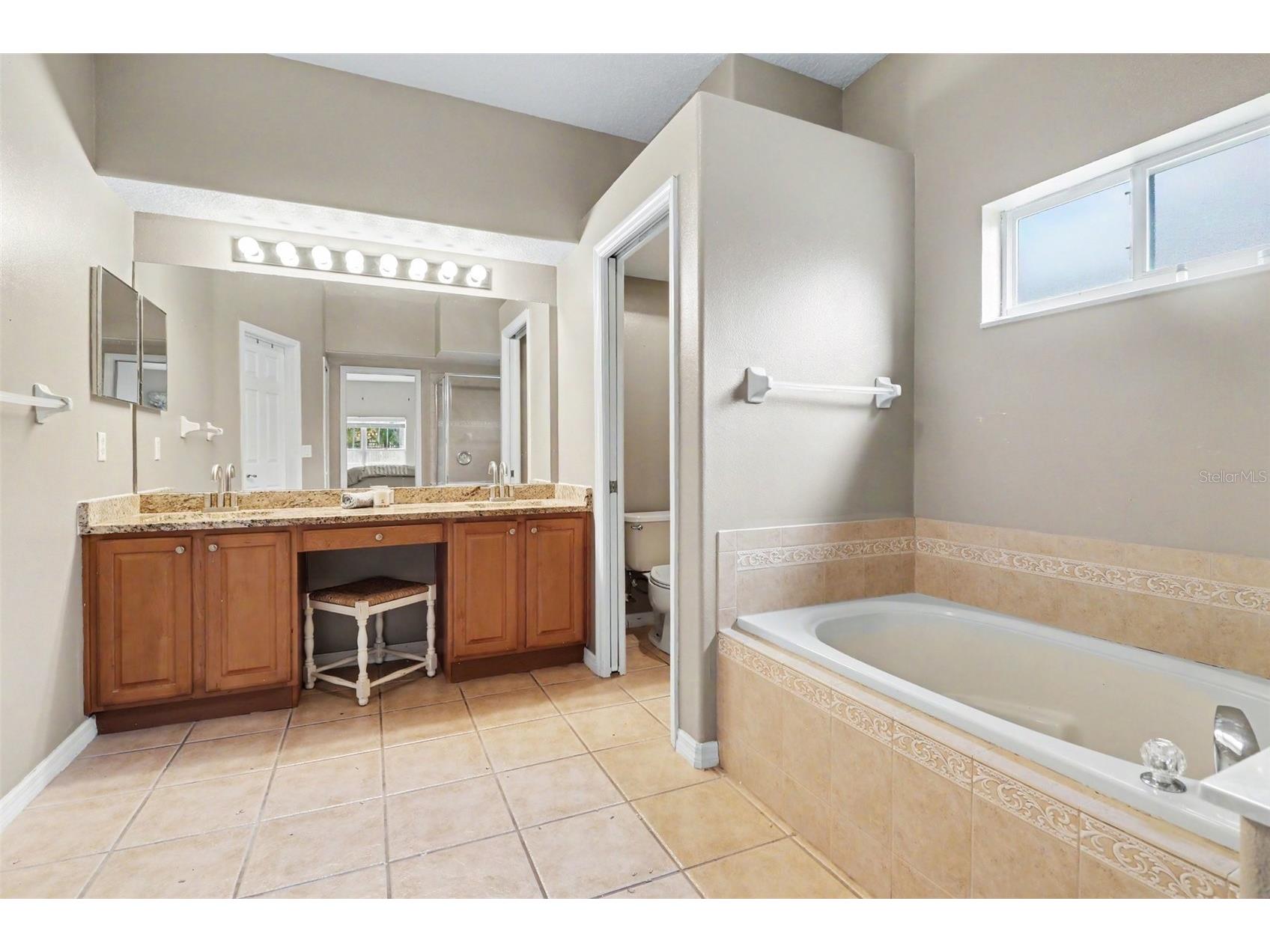10161 Sandy Marsh Lane Orlando FL 32832 O6409595 image24