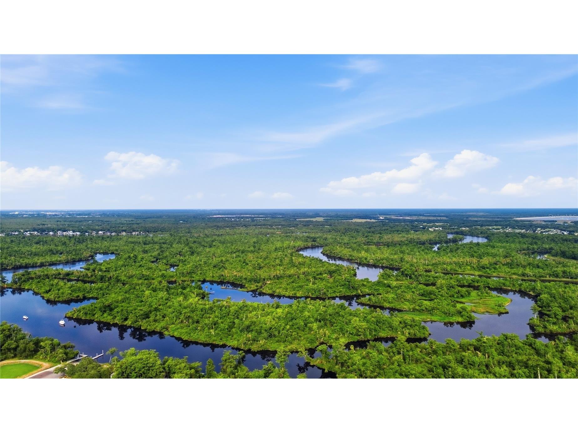 10162 SW Lettuce Lake Avenue Arcadia FL 34269 A4692015 image54