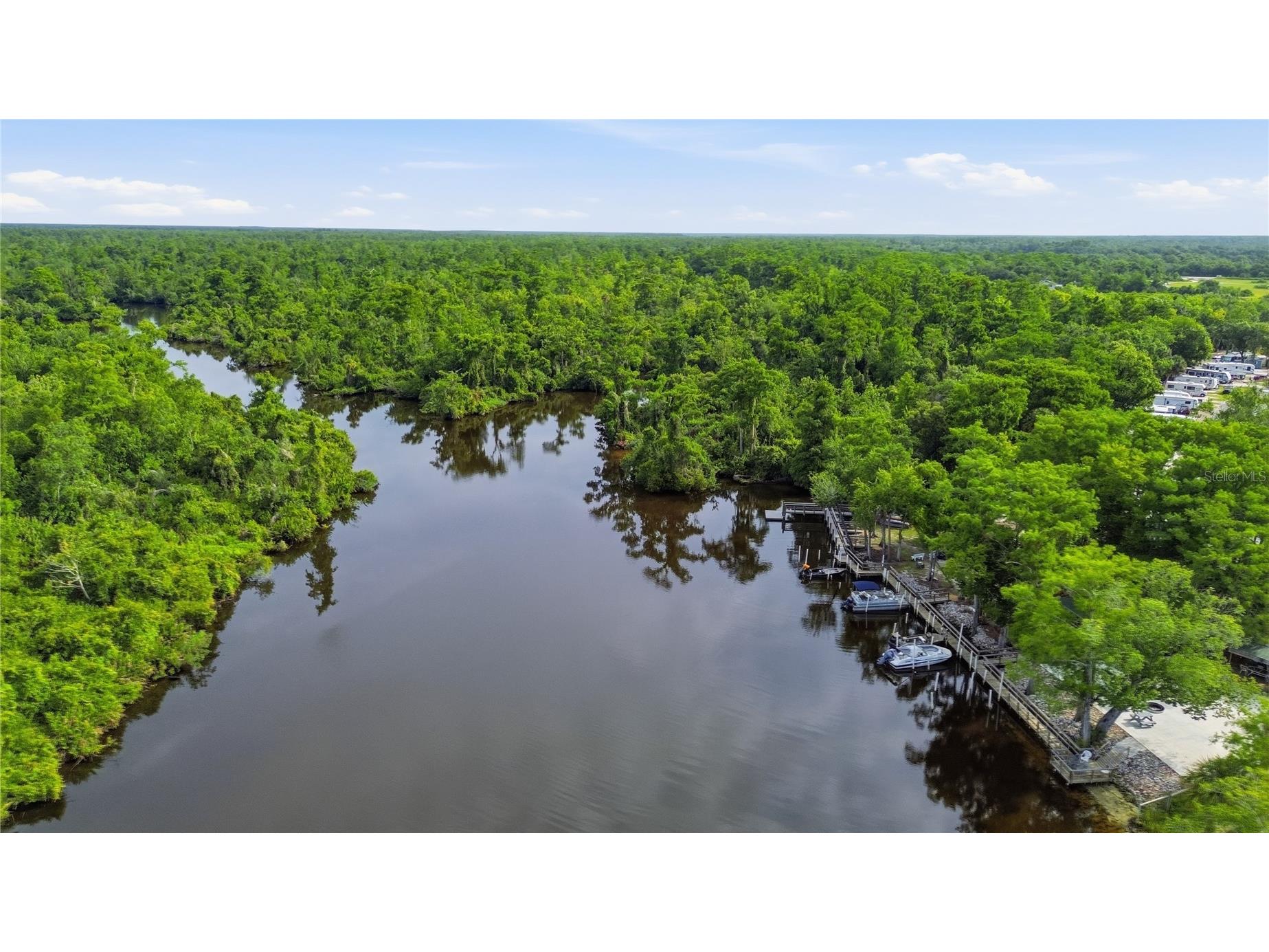 10162 SW Lettuce Lake Avenue Arcadia FL 34269 A4692015 image58