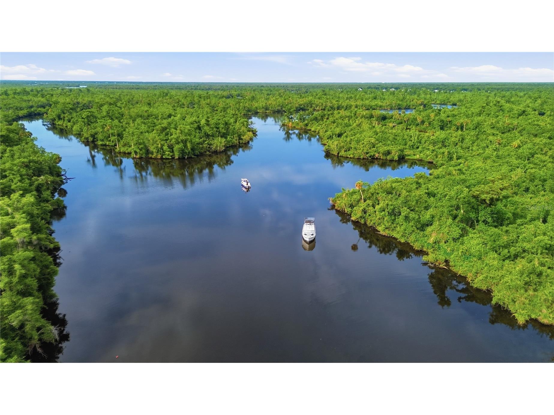 10162 SW Lettuce Lake Avenue Arcadia FL 34269 A4692015 image63