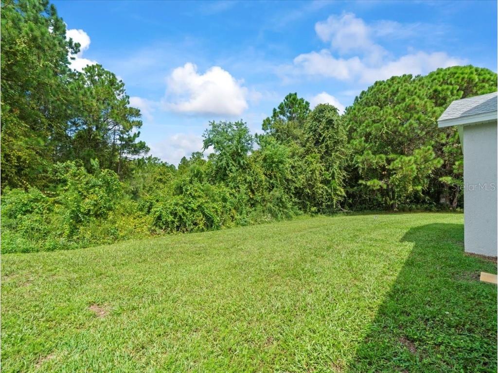 10163 Holly Berry Drive Weeki Wachee FL 34613 W7878744 image47