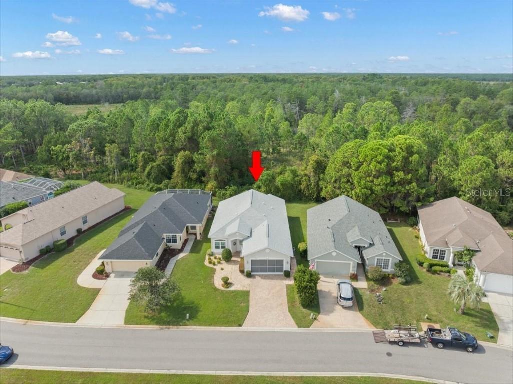 10163 Holly Berry Drive Weeki Wachee FL 34613 W7878744 image50