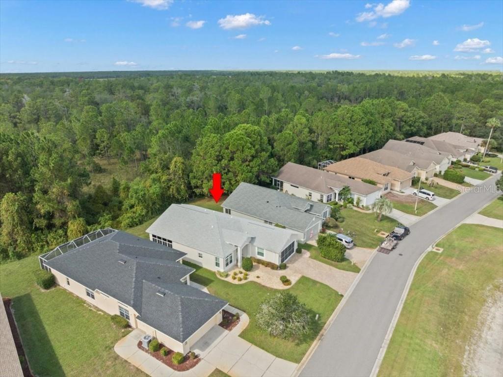 10163 Holly Berry Drive Weeki Wachee FL 34613 W7878744 image51