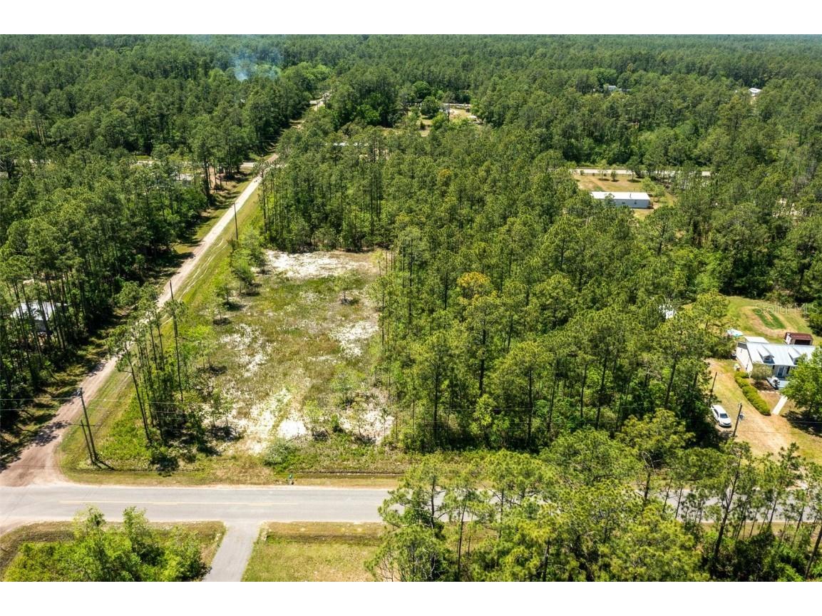 10165 Crotty Avenue Hastings FL 32145 FC309449 image1