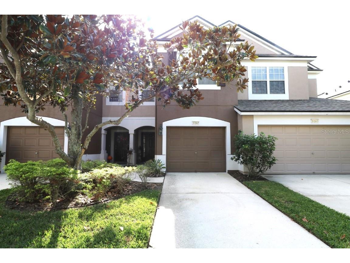 10165 Haverhill Ridge Drive Riverview FL 33578 T3494069 image1