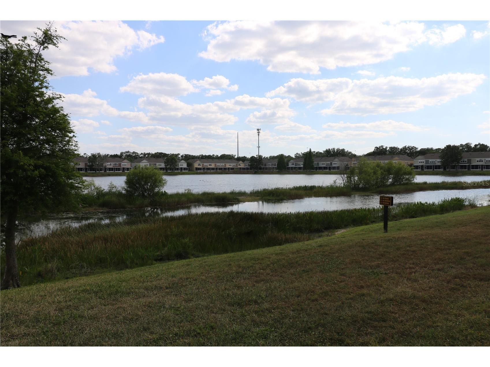 10165 Haverhill Ridge Drive Riverview FL 33578 TB8492779 image15