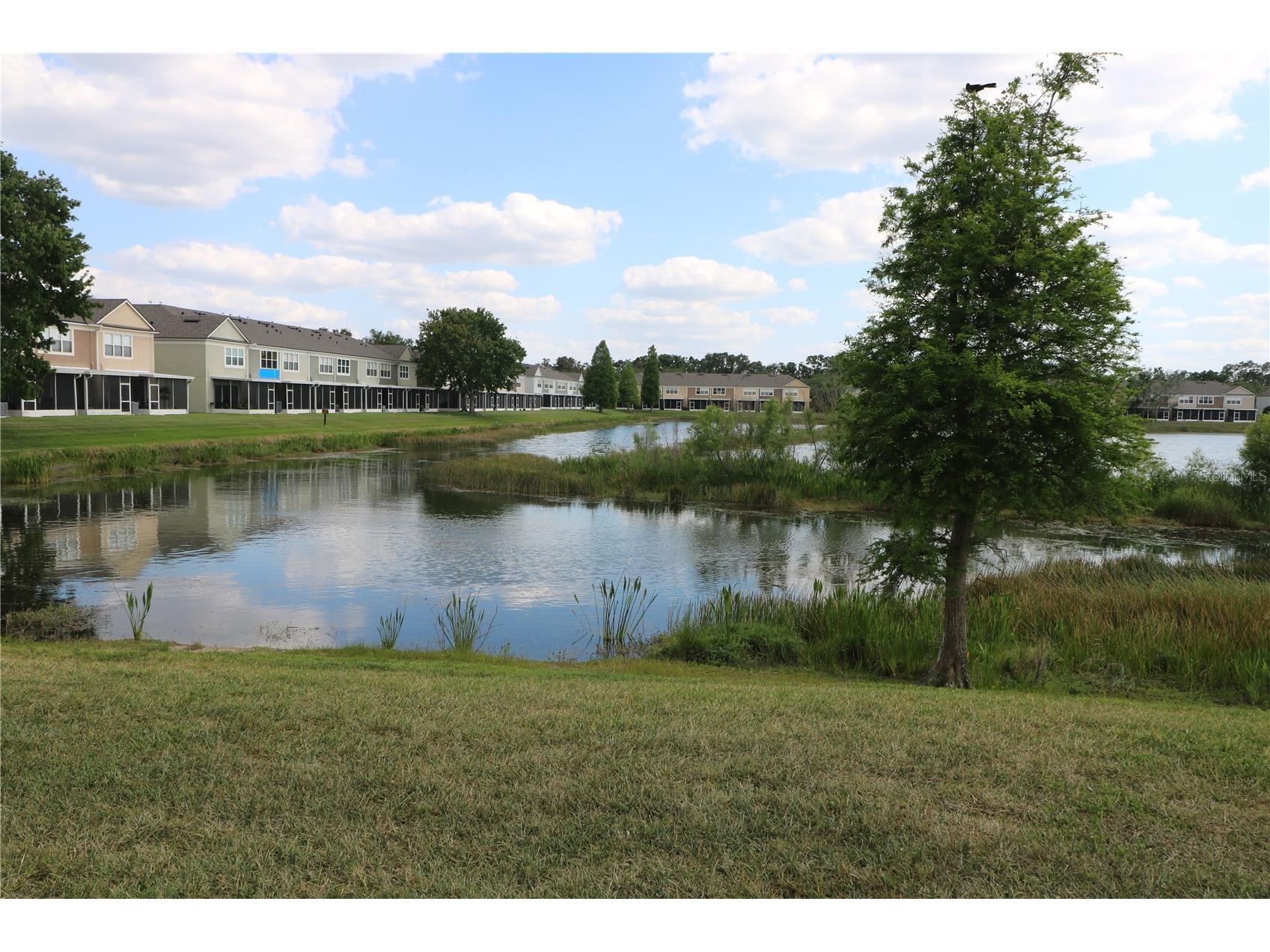 10165 Haverhill Ridge Drive Riverview FL 33578 TB8492779 image16