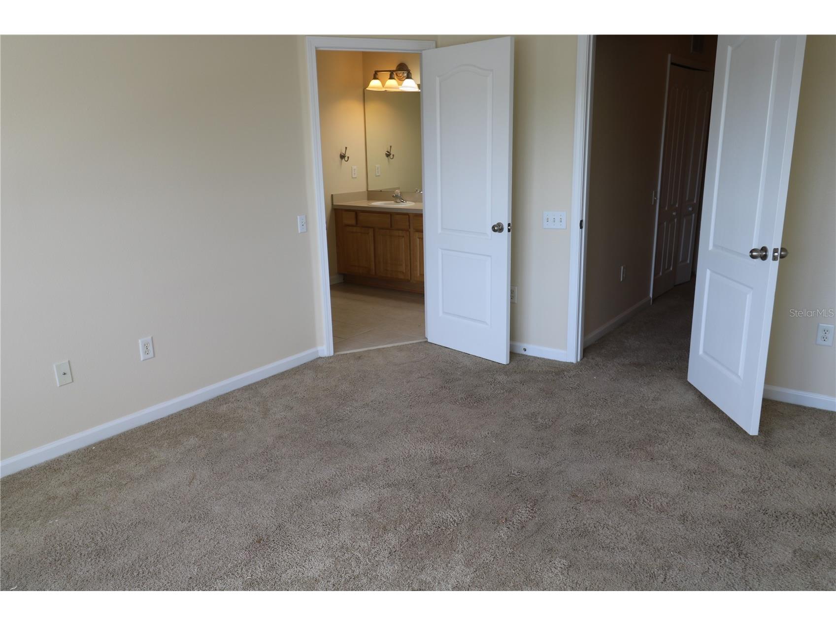 10165 Haverhill Ridge Drive Riverview FL 33578 TB8492779 image22