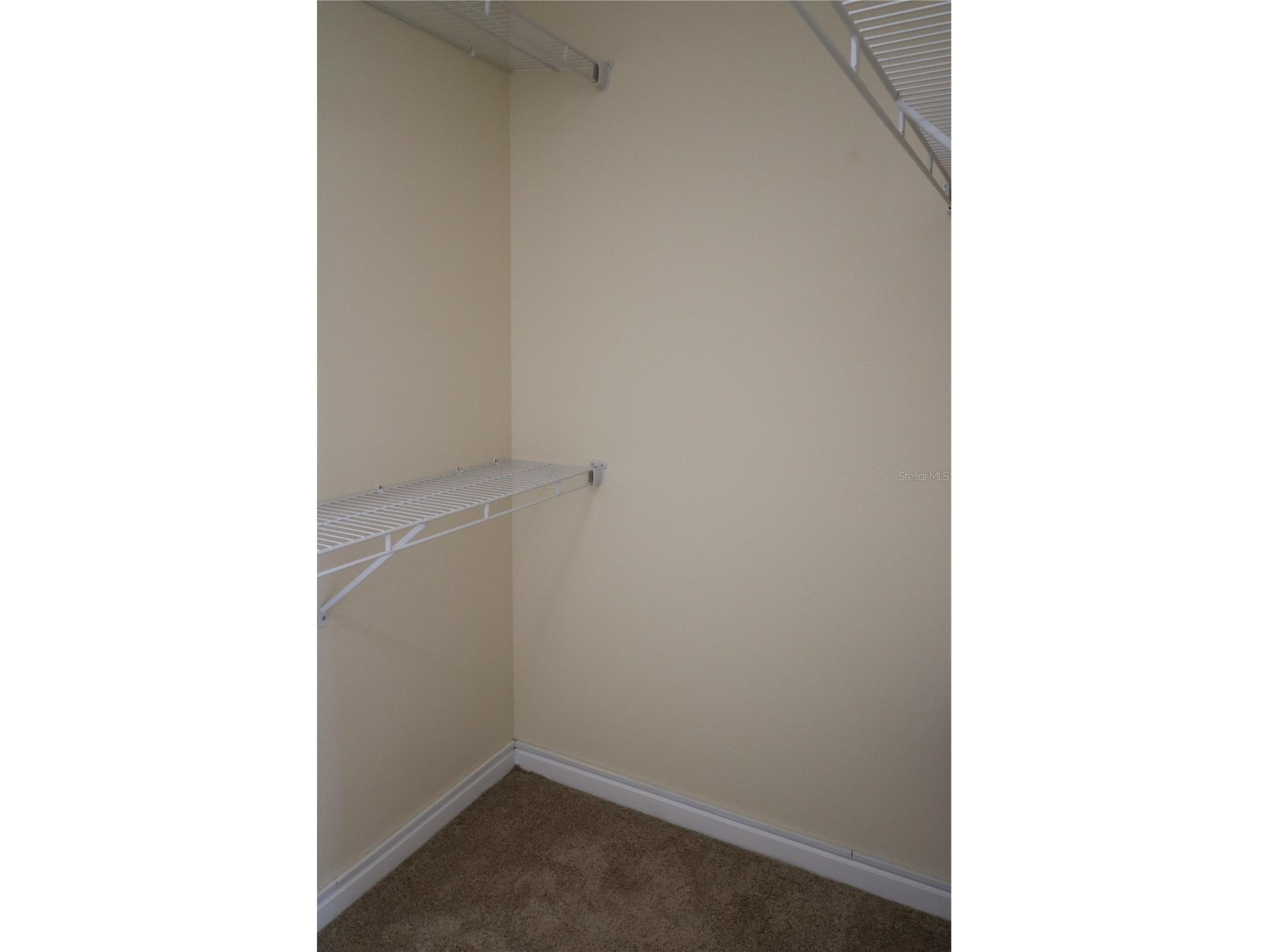 10165 Haverhill Ridge Drive Riverview FL 33578 TB8492779 image23