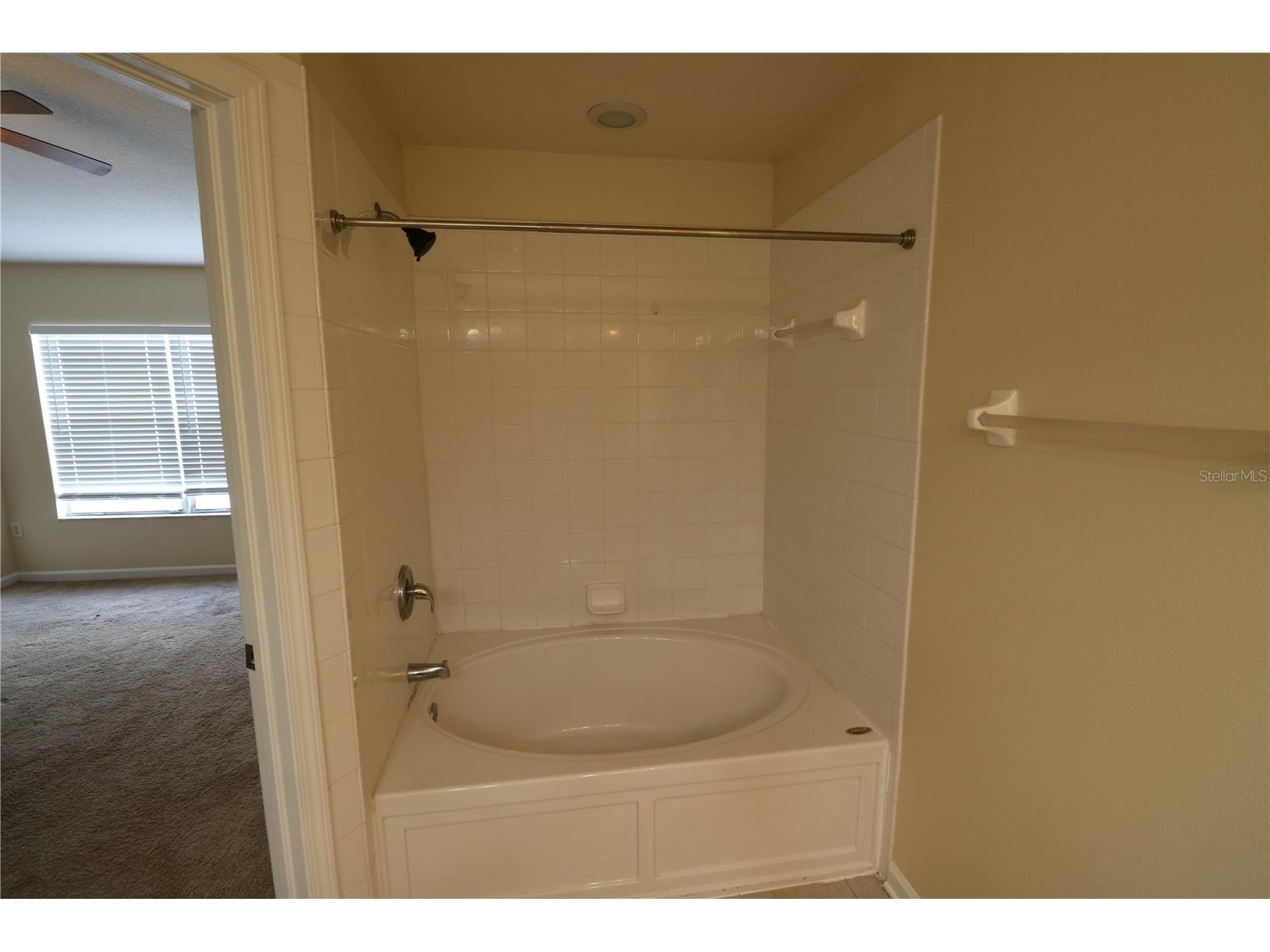 10165 Haverhill Ridge Drive Riverview FL 33578 TB8492779 image25