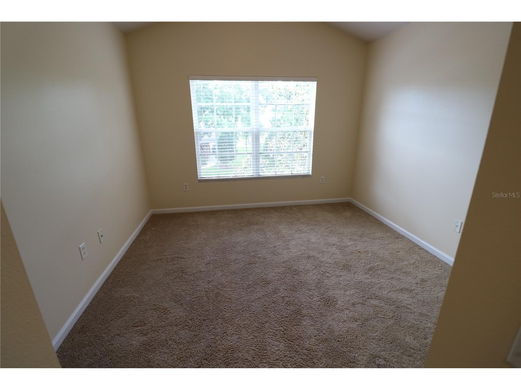 10165 Haverhill Ridge Drive Riverview FL 33578 TB8492779 image32