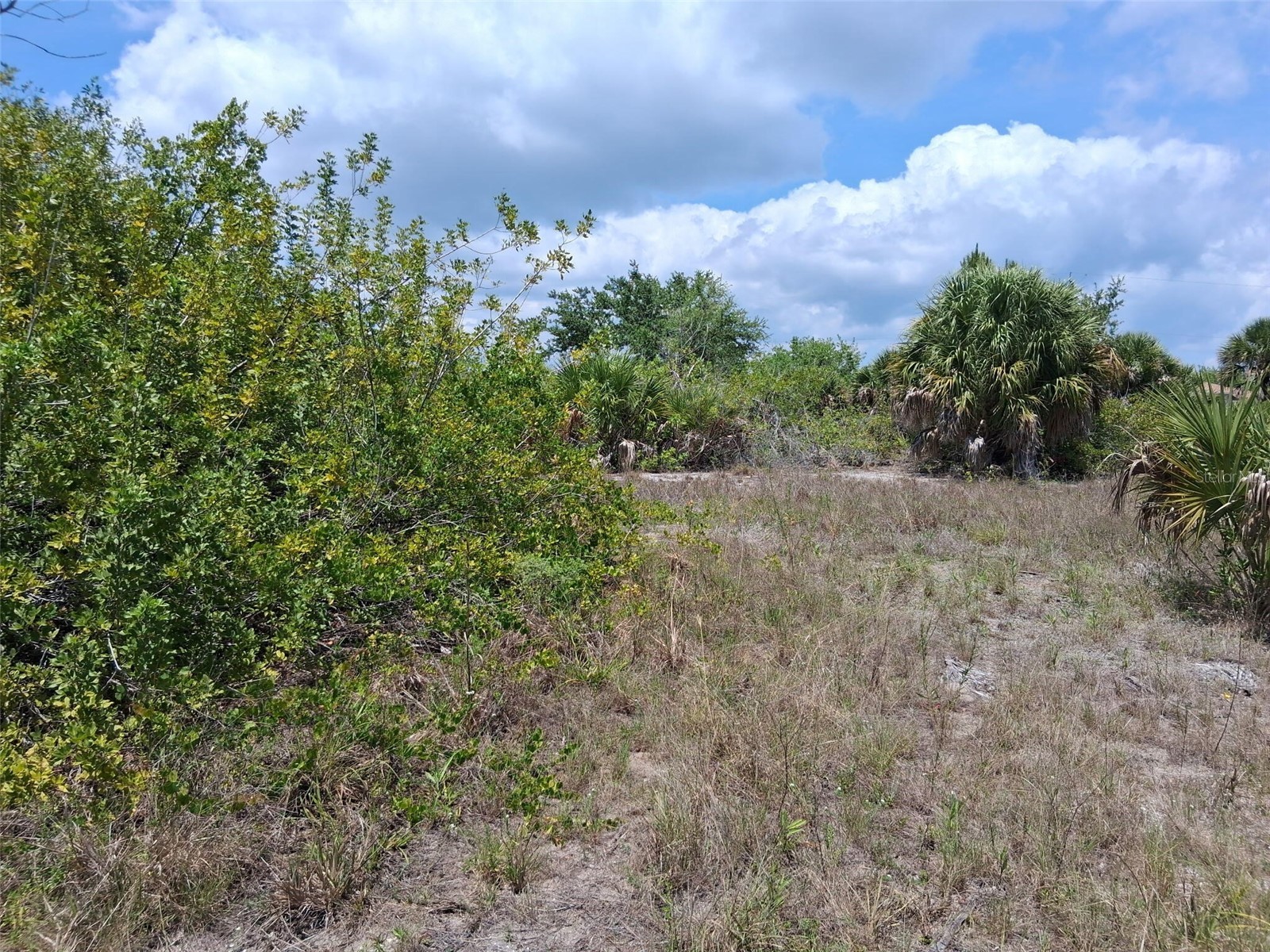 10166 Kingsville Drive Port Charlotte FL 33981 O6409476 image4